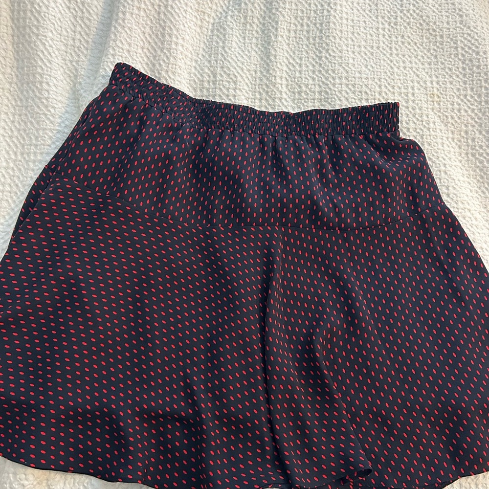 Banana Republic Navy and Red Skater Skirt